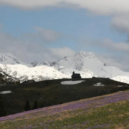 בית הארחה Repnik
