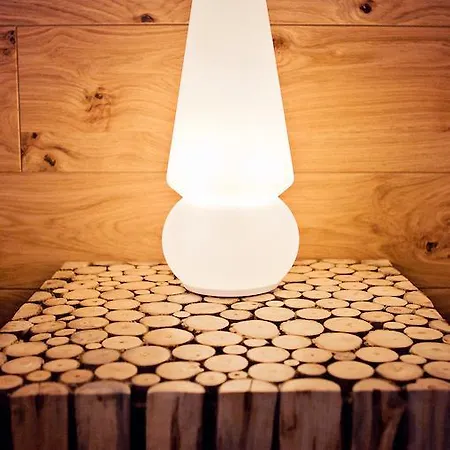 Guest house Repnik 4*