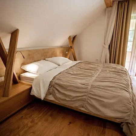 Repnik Guest house 4*