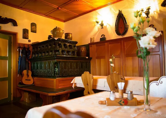 Repnik Πανσιόν Kamnik