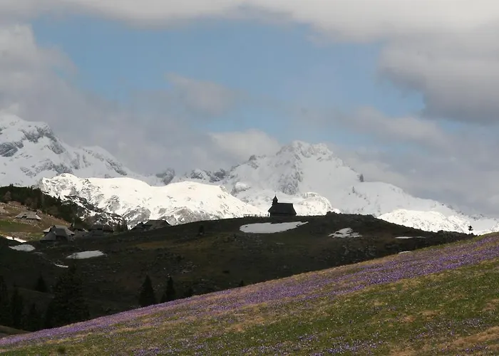Πανσιόν Repnik
