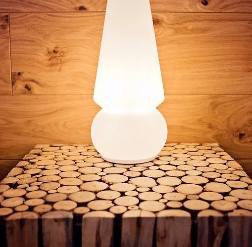 בית הארחה Repnik 4*