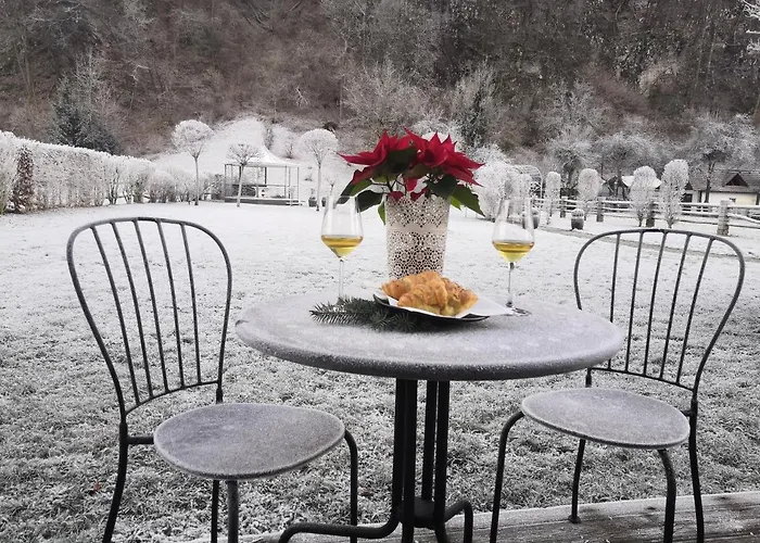 Repnik Πανσιόν 4*